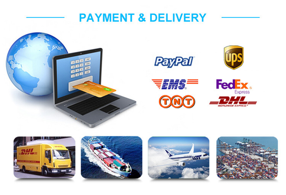 C9300-48P-E Katalizör 9300 48 portlu 1G Bakır Modüler Uplinks ile PoE+ Ağ Temelleri